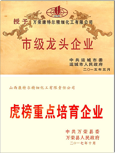 市級龍頭企業(yè)認定證書