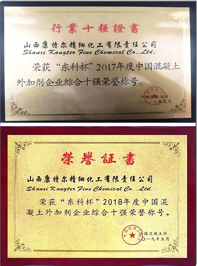 行業(yè)十強認(rèn)定證書